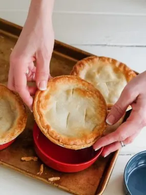 Chicken and Vegetable Meat Pie