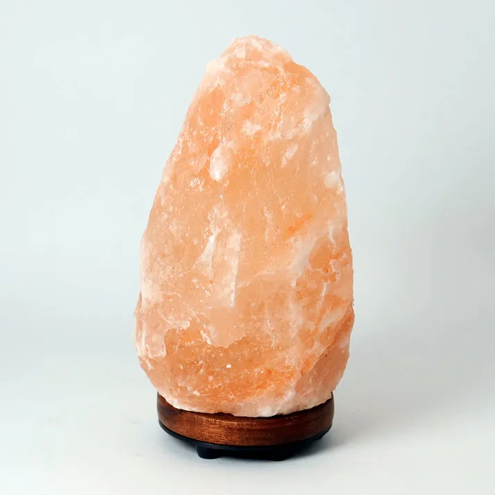 Himalayan Pink Salt Lamp | Home Decor