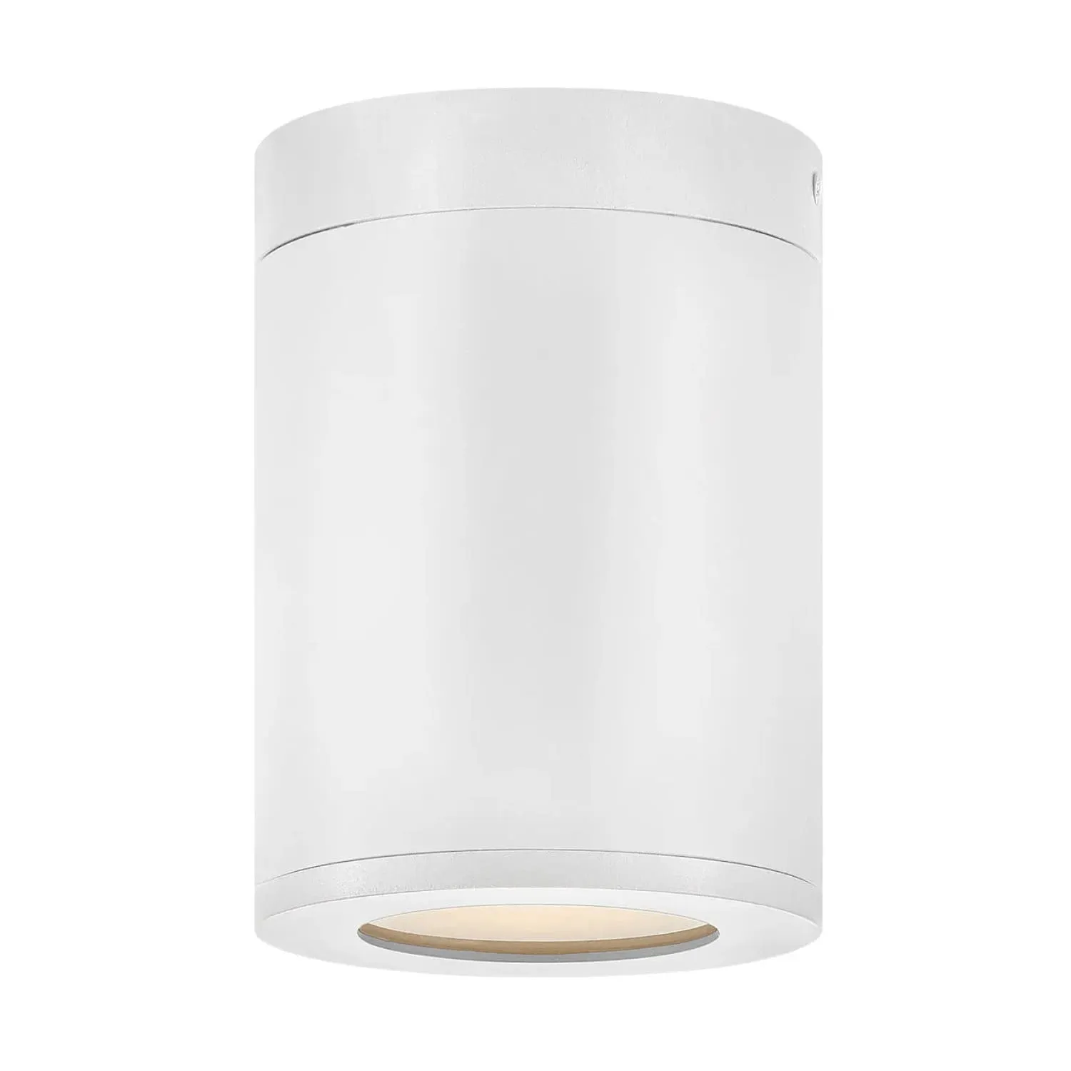 Silo Coastal Outdoor Flush Mount - Dark Sky - Satin White